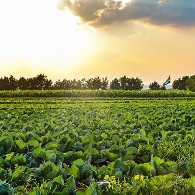 The best farms to visit